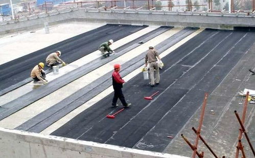 青浦區(qū)外墻防水服務與建筑勞務分包 同心協(xié)力，共筑品質